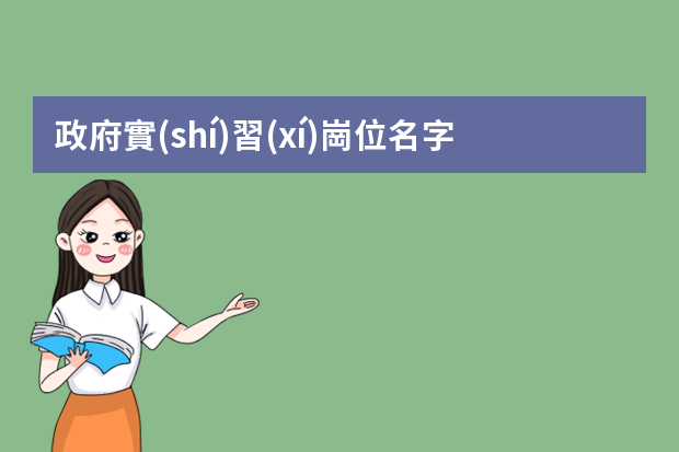 政府實(shí)習(xí)崗位名字填什么